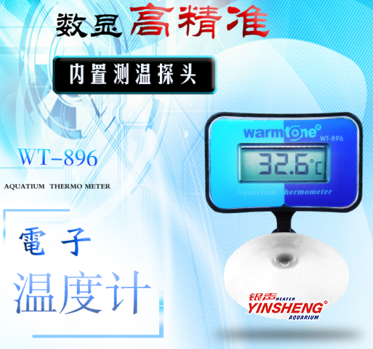 WT-896温度计